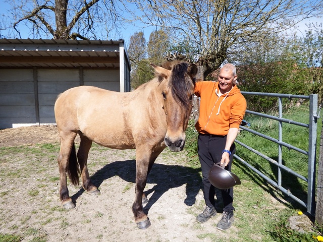 APAJH du Nord-Equitation au foyer Jean Lombard à Avesnelles,