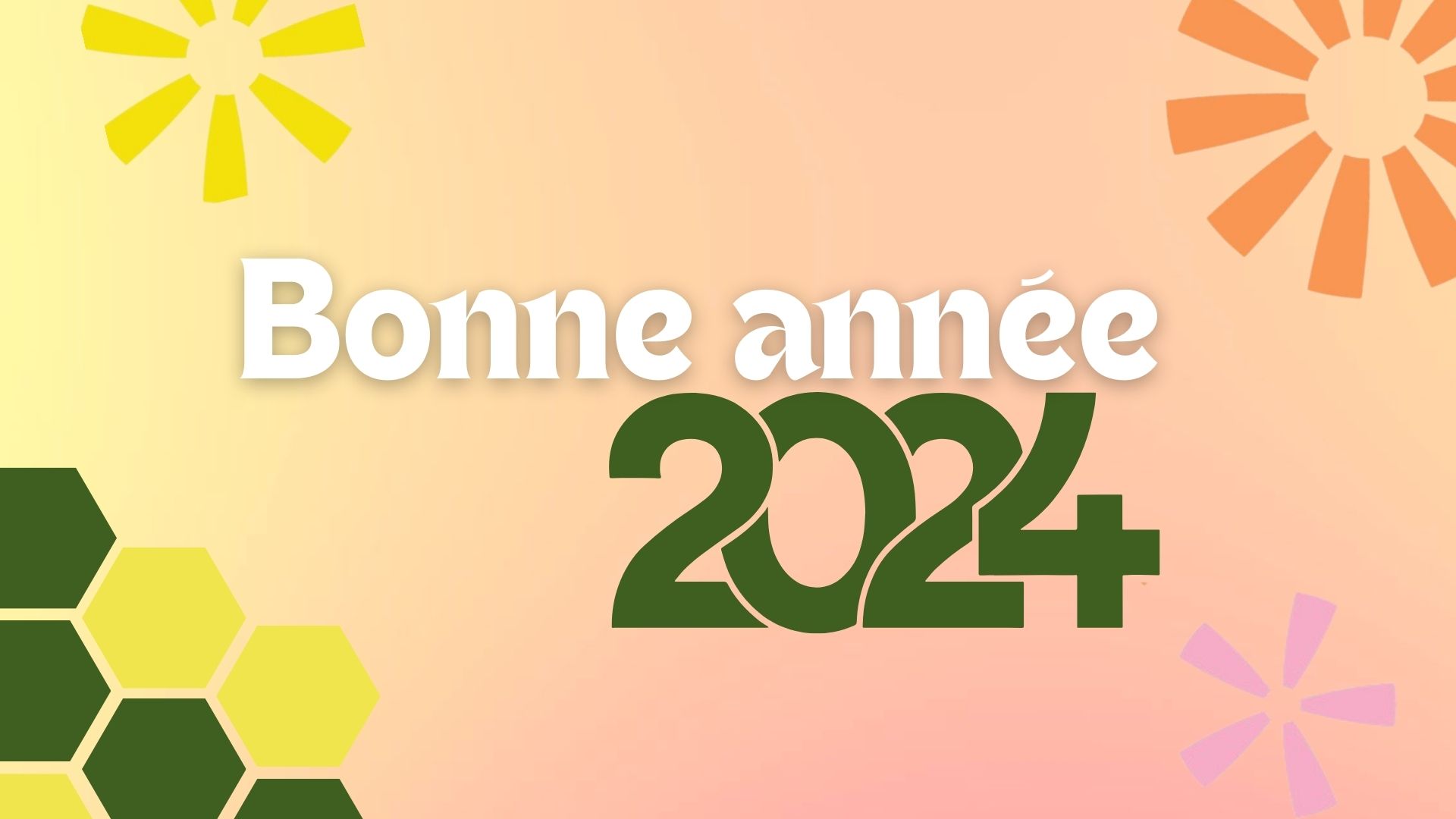 L’APAJH du Nord vous souhaite une bonne année !