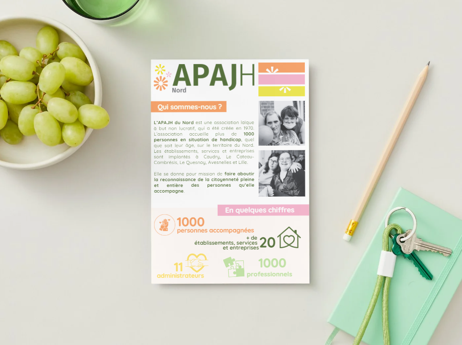 Plaquette APAJH Nord : association laïque créée en 1970 dans le Nord ; 1000 personnes accompagnées, plus de 20 établissements, services et entreprises, 11 administrateurs, 1000 professionnels.